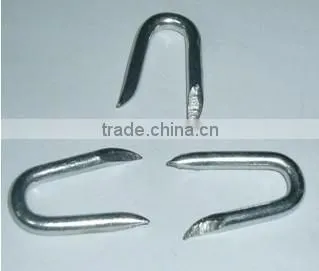 Rapid 13 u Staples Steel Nails Manufacturers photo-5