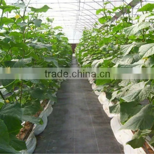 Newest Weed Barrier /weed Control Fabric photo-6