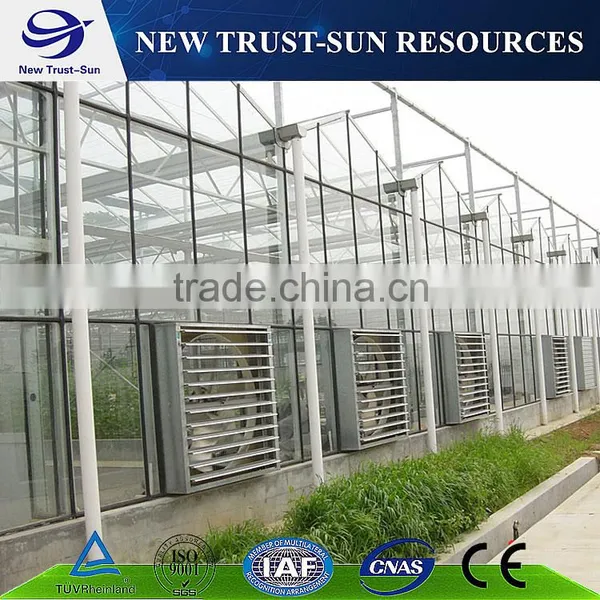 Sturdy and Strong Multi-span Polycarbonate/PC Sheet/board Agriculture Greenhouse