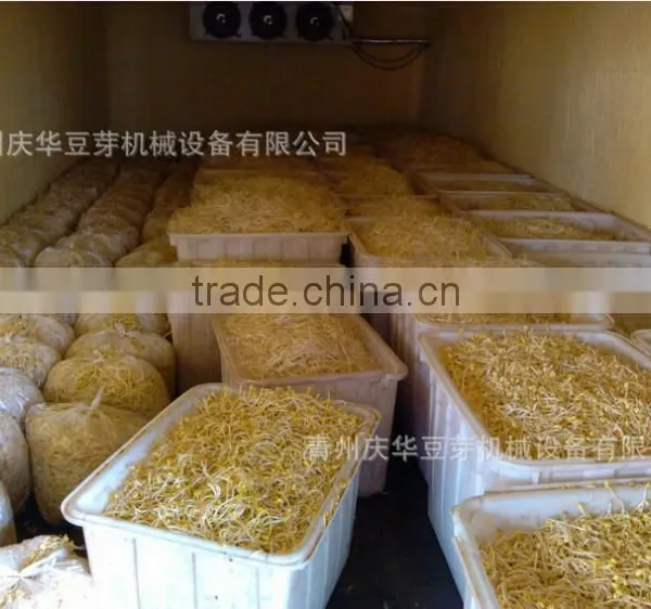Hot Sale Automatic Bean Sprout Growing Machine, Bean Sprouting Machine,Bean Sprout Machine Price photo-4