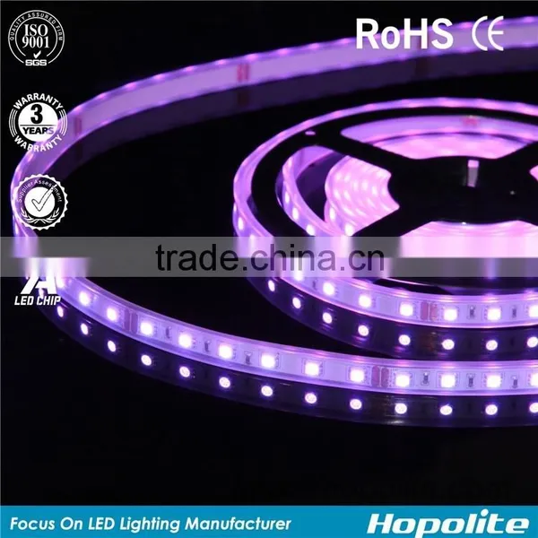 12v Rgb Strip Light Flexible Led Strip 5050 Waterproof 5050 Smd photo-3