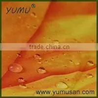 3 Fold Umbrella for Plants With Fully Printing All Over photo-4