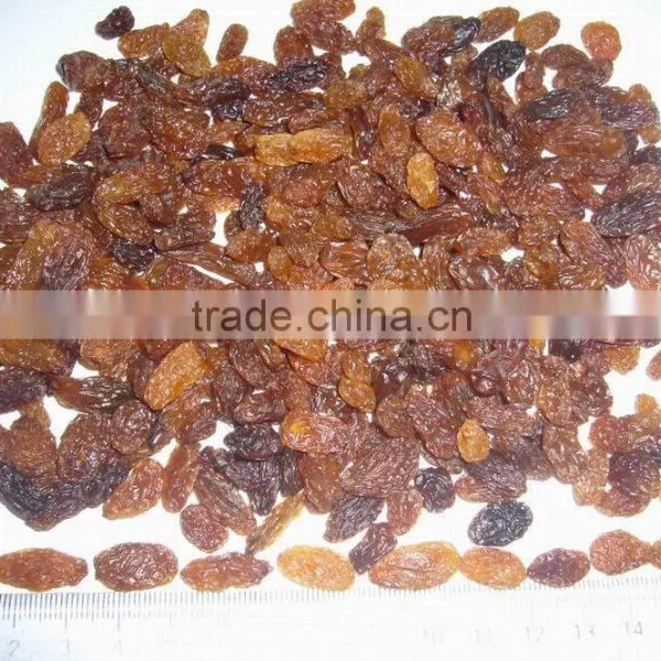 Good Quality Chinese Dried Brown Raisins for Sale photo-4
