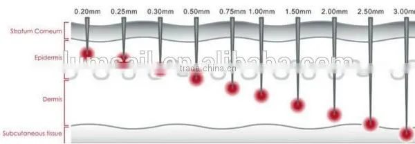 Electric Dermaroller Titanium for Wrinkle Removal Acne Scar Removal and Eye Bag photo-4