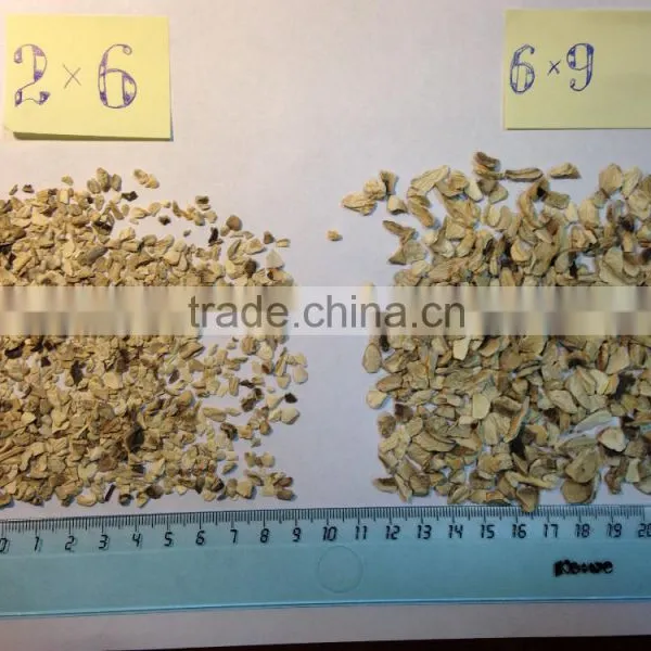 Dried Champignon Granules