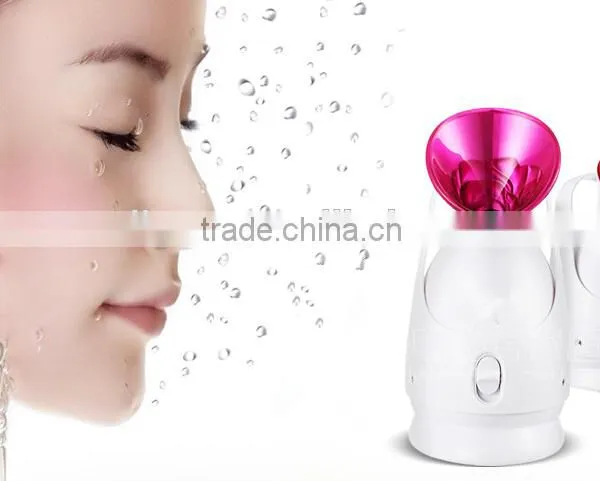 Hot Selling Beauty Product USB Rechargeable Portable Nano Handy Mist and Facial Steamer photo-2