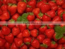 STRAWBERRY photo-2