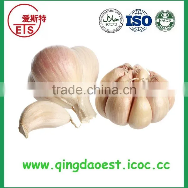 Good Quality and Best Price Hot Sale Fresh Pure White Garlic photo-2