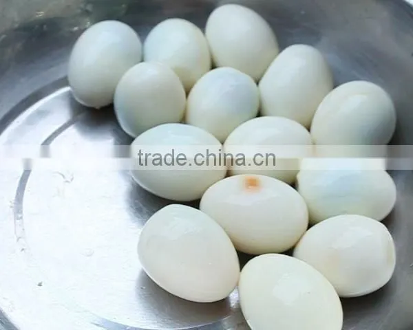 FT-200 Electrical Hen Egg Shelling Machine photo-6