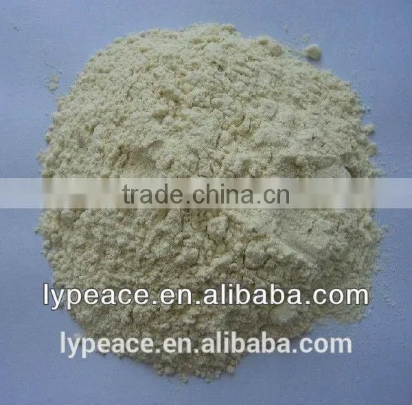 Wholesale Light Yellow Healthy 6% Max Dried Garlic photo-2