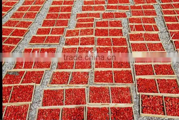 China Sun Dried Tomatoes photo-4