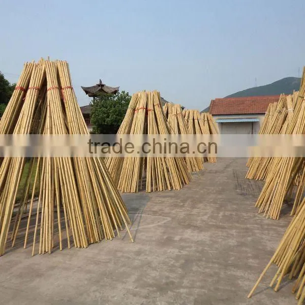 Bamboo Pole