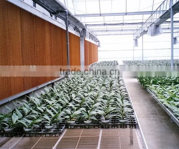 Commercial Greenhouse photo-3