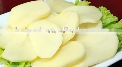 Garlic Slicer Machine photo-5