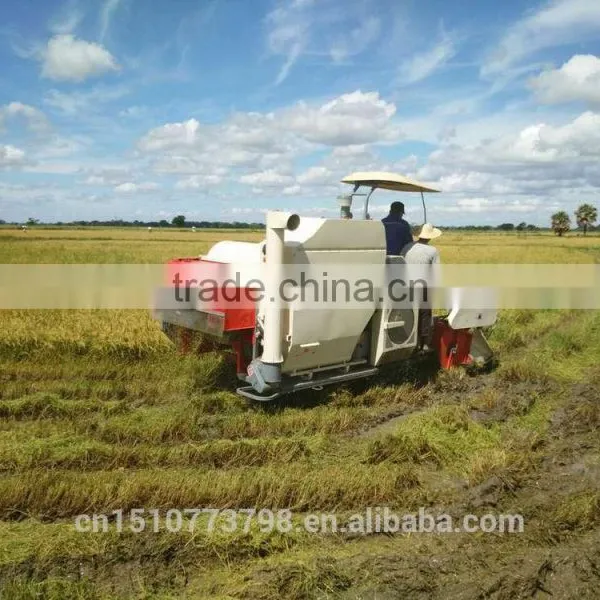 4LZ-3.0 K-BOS Big Tank Combine Harvester photo-3