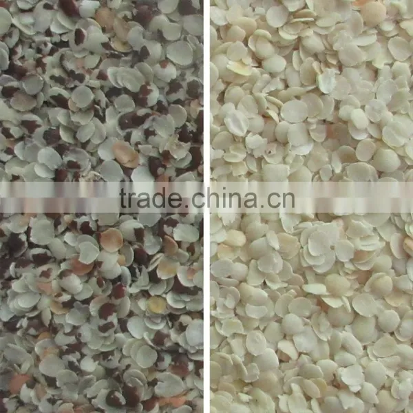 2017 Intelligent Image Double Side Ccd Camera Bean Sorting Machine photo-4