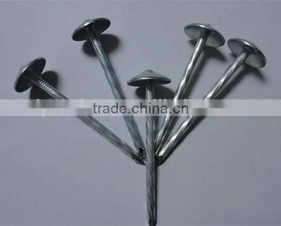 Roofing Nail With Umbrella Head China Nails Supplier From Linyi photo-2
