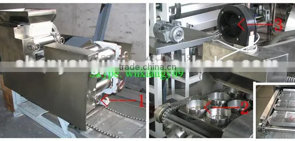 High Efficiency and Energy Saving Small Instant Noodle Production Line photo-6