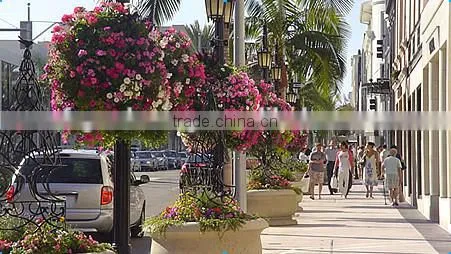 Plastic Plant Pots Wholesale Concrete Large Tall Vases Gardening Pots photo-4