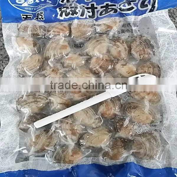 Frozen Vacuumed Variegated Clam With Full Shell Meat photo-2