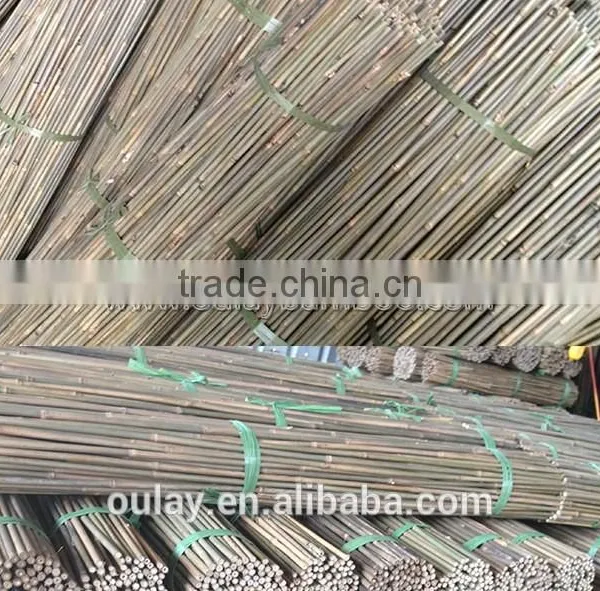 Durable Nature Eco-friendly Solid Bamboo Poles Small Packages photo-2