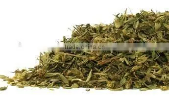 Stevia Leaves photo-2