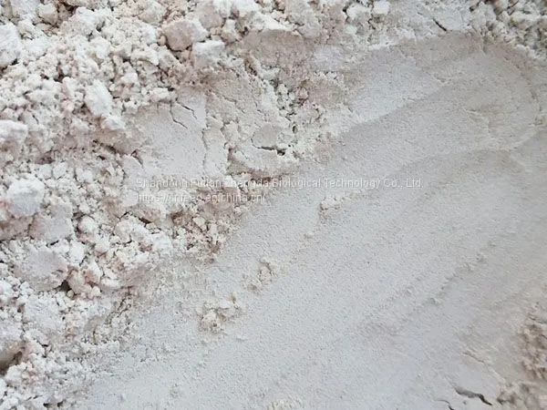 High Calcium Oyster Shell Powder Calcium Supplement Additive for Livestock, Poultry, Aquatic Products and Pets photo-2