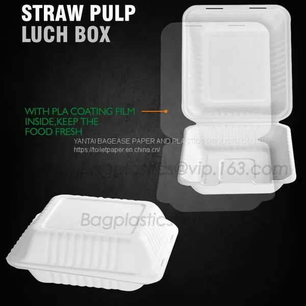 Disposable Corn Starch Plates, Biodegradable Corn Starch Food Container, Biobased Food Tray, Disposable Plastic Takeaway Meal Tray, Corn Starch Blister Packaging Tray, Blister Packaging