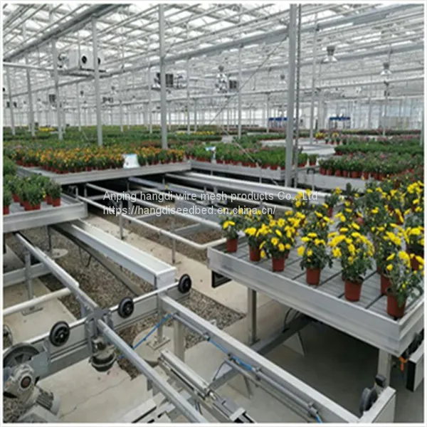 Seedbed photo-3