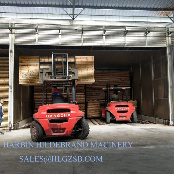 Wood Drying Kiln in China photo-2