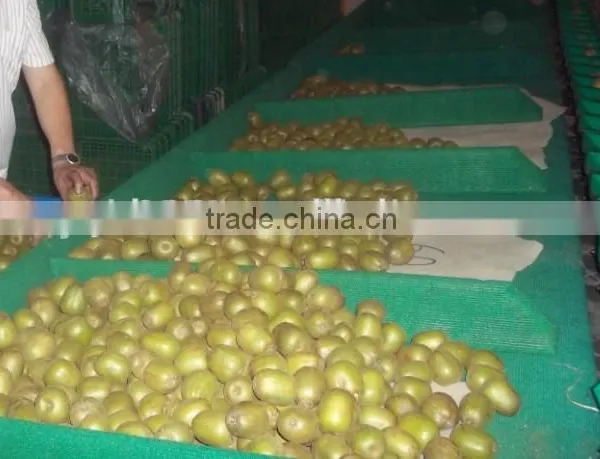 Commercial Orange Grading Machine/lemon Sorting Machine/kiwi Sorter Machine photo-2