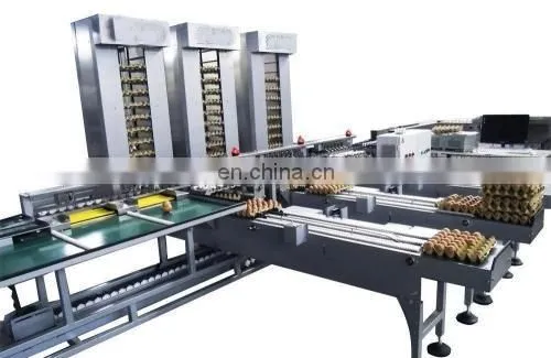 Egg Production Line/ Egg Washing Cleaning Drying Printing Grading Production Line photo-5