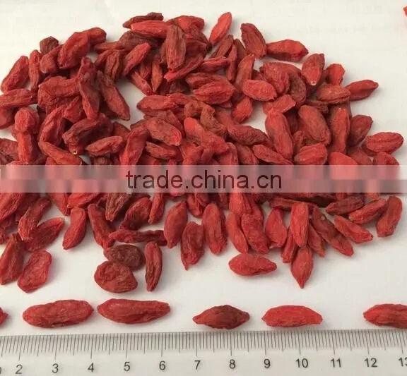 Chinese Wolfberry photo-2