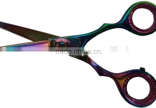Hair Scissors