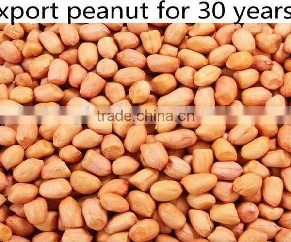 Peanut Kernels 40/50