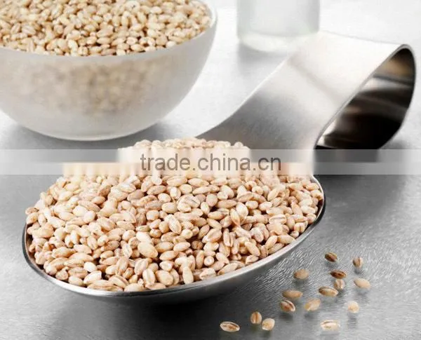 Pearl Barley From Ukraine in Containers