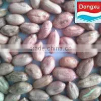 Price of Peanut Seed