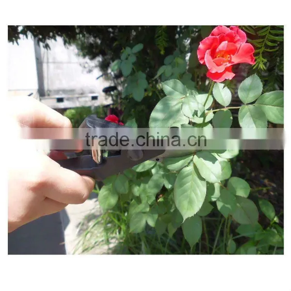 popular pruning clamp pruning tool