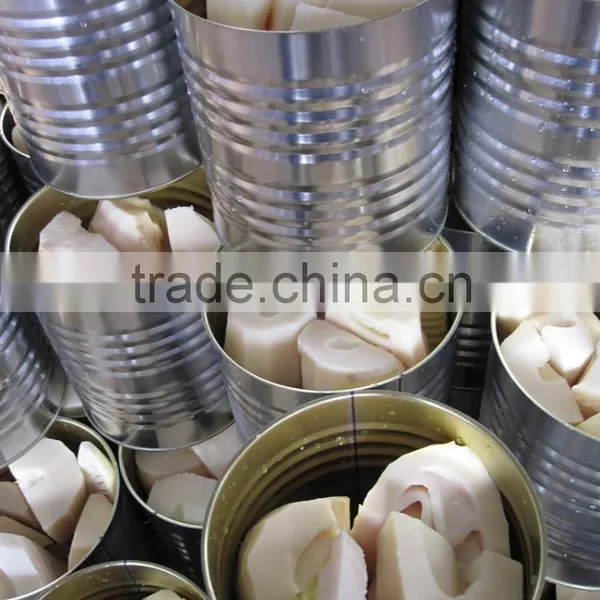 Hot Sell High Quality Natural Water Canned Bamboo Shoot to European,South American,Africa photo-2