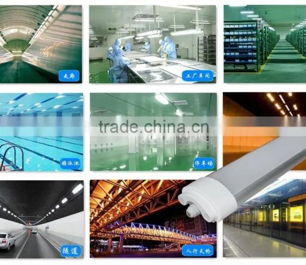 Best Sale Factory Direct Sale Led Batten Light Pass CE and RoHS 18W 36W 45W 60W LED Batten Tube Light SMD2835 High Lumen photo-6