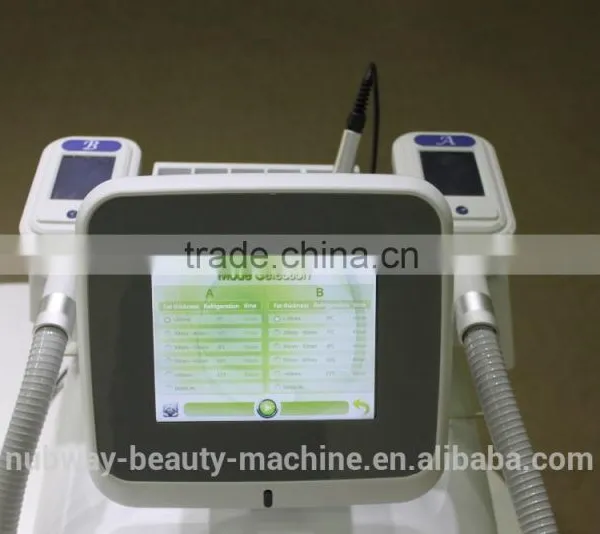 Fat Reduction Newest Portable Cryolipolysis Slimming Machine/ Fat Freezing Cryolipolysis/ Cryolipolysis Machine Reduce Cellulite photo-5