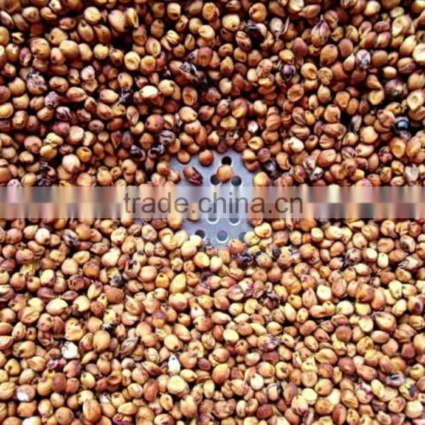 Red Sorghum With Best Price photo-2
