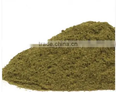 Senna Extract Powder