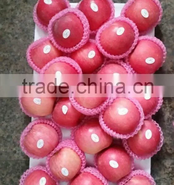 Hot Sale Chinese Fuji Apple photo-3