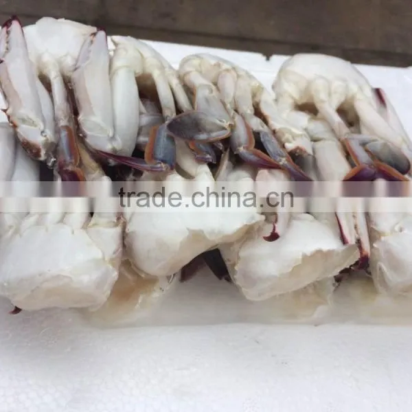 New Frozen Blue Swimming Crab photo-3