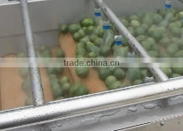 Full Automatic Industrial Vegetable And Fruit Washing Washer and Drying Dryer Machine photo-6