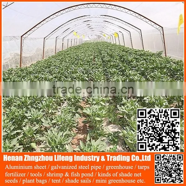 Top Product pe Greenhouse Anti Insect Proof Net , Plastic Vegetable Anti Insect Net , Nylon Agricultural Anti Insect Net photo-2