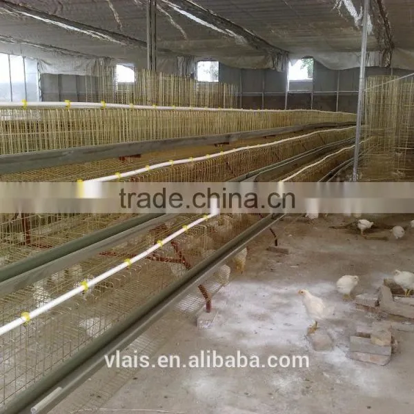 Chicken Adult Cage on Sale. photo-3
