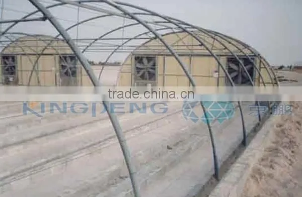 Single Span Film Tunnel Greenhouse photo-2