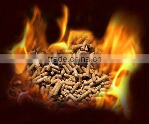 Cost-effective Powder Feed Machine Small Chicken Feed Pellet Machine photo-6